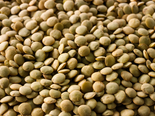 Organic Green Lentils Beans - Stock Photos