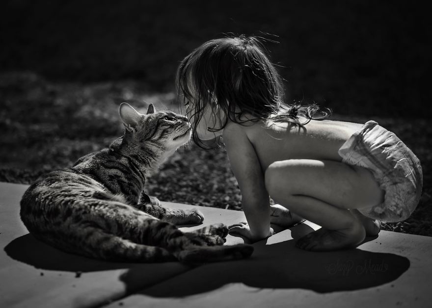 children-cat-playing-photography-11__880