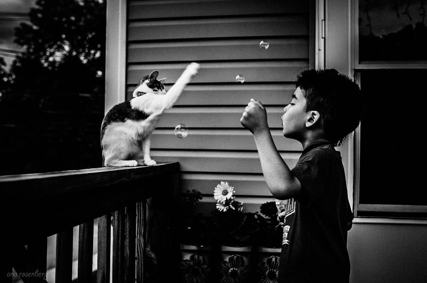 children-cat-playing-photography-20__880