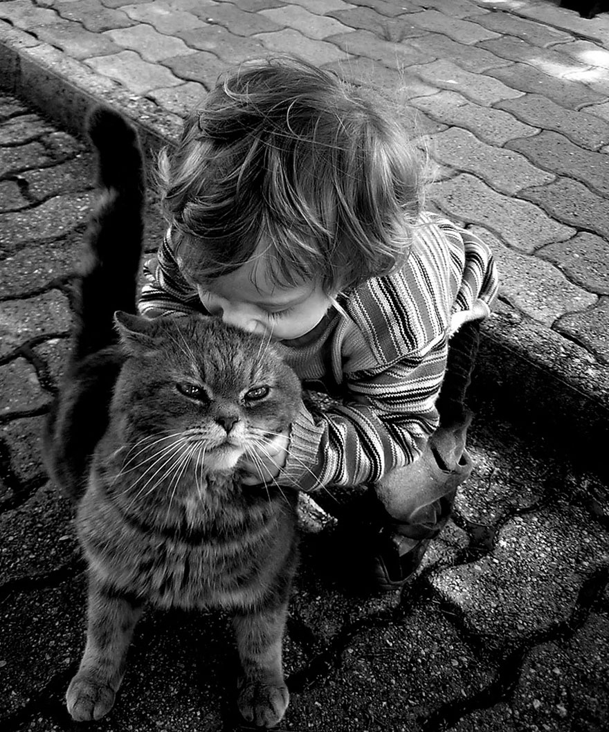 children-cat-playing-photography-303__880