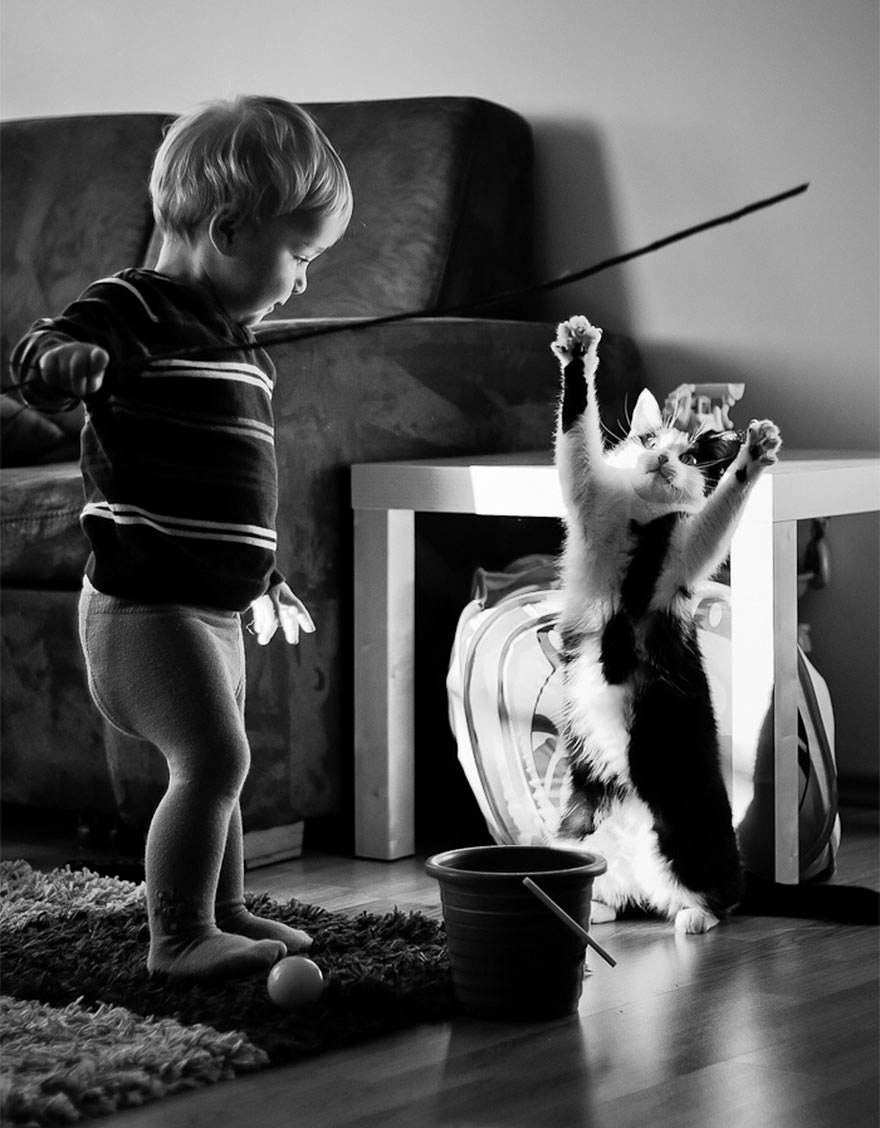 children-cat-playing-photography-36__880