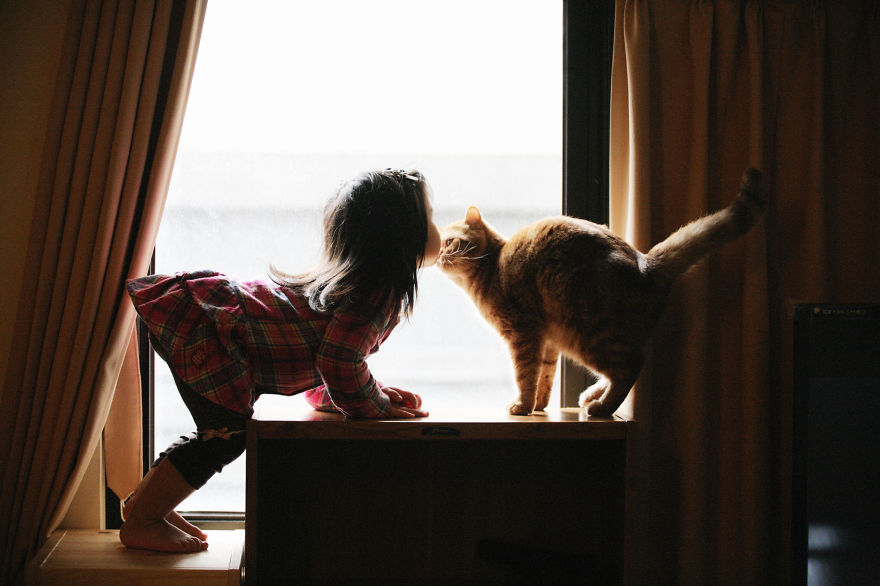 children-cat-playing-photography-8__880