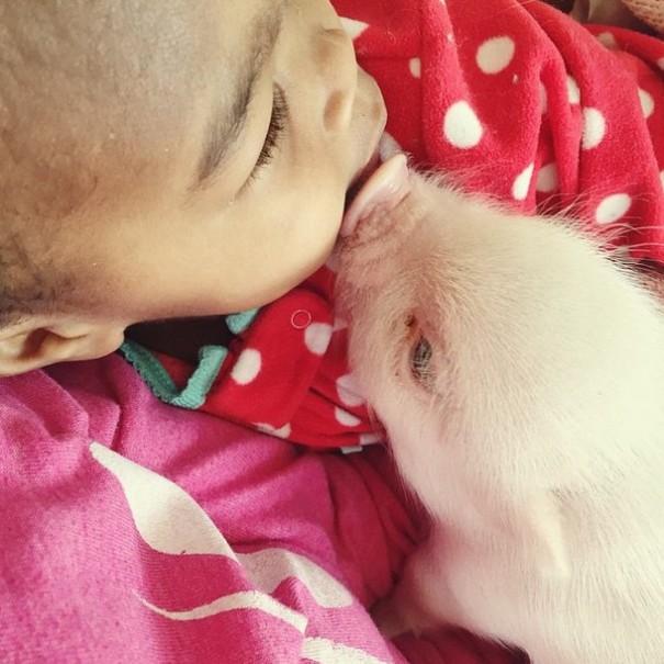 little-girl-piglet-friendship-libby-and-pearl-22-605x605
