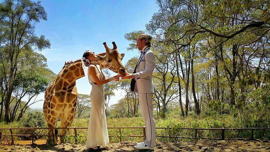 couple-wedding-around-the-world-travel-cheetah-rhiann-11