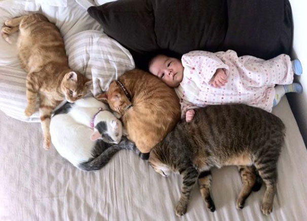 kids-with-cats-23__605
