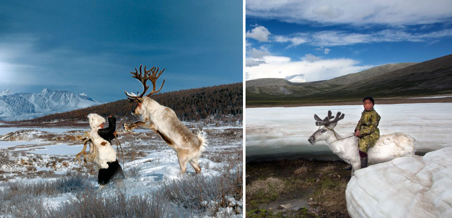 reindeer-people-hamid-sardar-afkhami-8