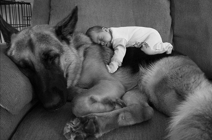 kids-with-dogs-652__700