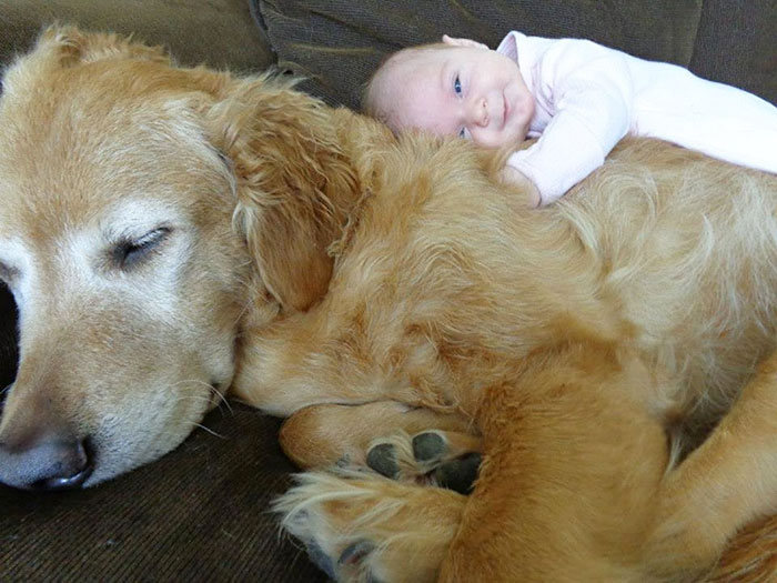 kids-with-dogs-78__700