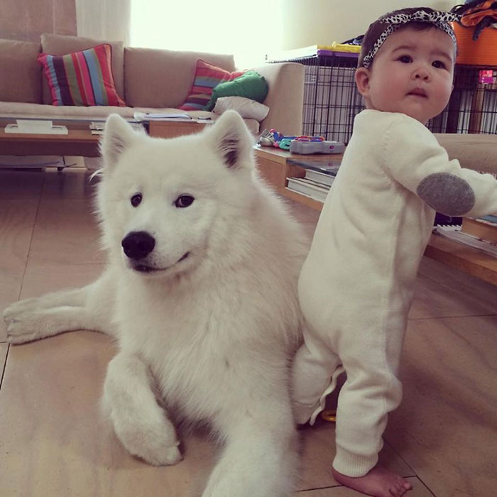 kids-with-dogs-82__700