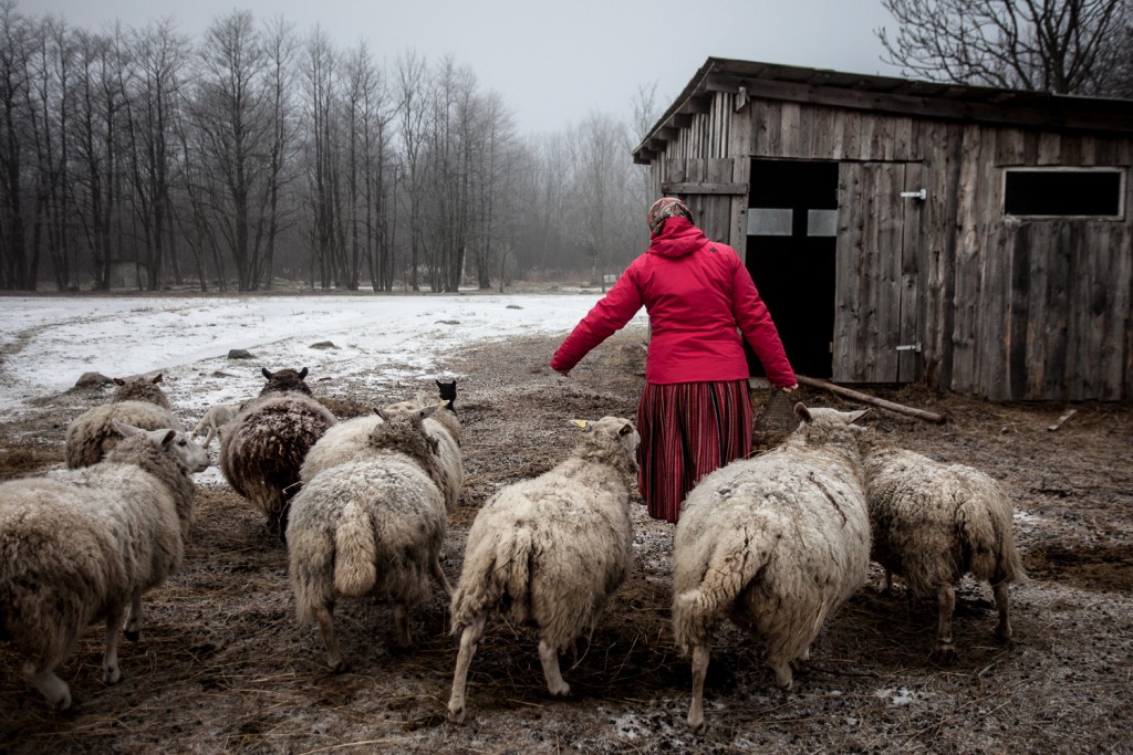 Kihnu, the women’s island - Les gardiennes de Kihnu